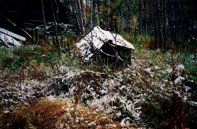 image030.jpg (33051 bytes)