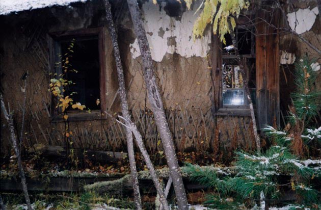 image040.jpg (13755 bytes)