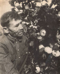 ����� ����������, ������� ������� ��. ���������� 