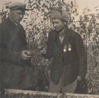 ���� ���������� �  ������������� �������