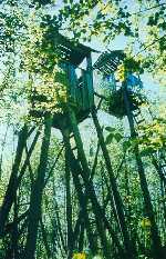 503_2.jpg (76080 bytes)