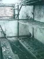 503_03.jpg (6190 bytes)