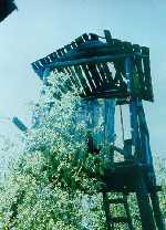 503_4.jpg (55187 bytes)