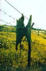 lager1.jpg (44901 bytes)