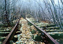 rails.jpg (17058 bytes)