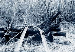 rails2.jpg (15852 bytes)