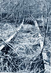 rails3.jpg (16402 bytes)