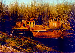 ships.jpg (17930 bytes)