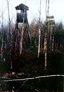 vishka3.jpg (13474 bytes)