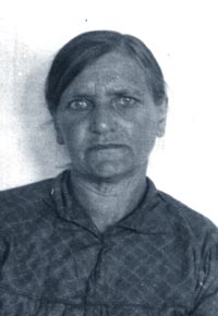 �.�,�����������. 1951 �.