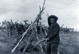 ������� ���������� ���������