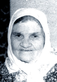 ������� ���������