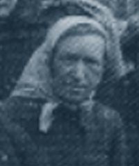 ��� ���� 