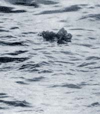 danmemor2.jpg (17500 bytes)