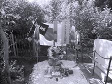 ������� ������ �� ������������ �����. 