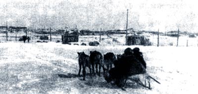 Город Игарка. Оленья упряжка