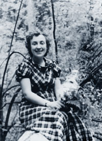 ���� ���������� ���������