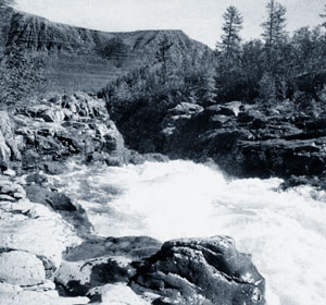 ������� �� ����� ����