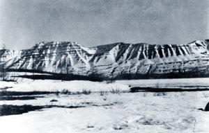 ����� ����;